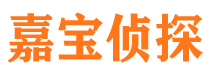 浦城侦探公司